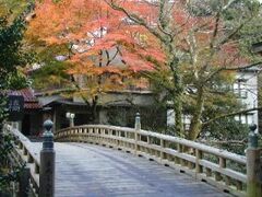 �����O�̎ʐ^1