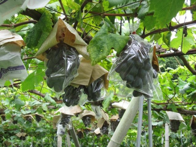 �������W���[�_���̎ʐ^1