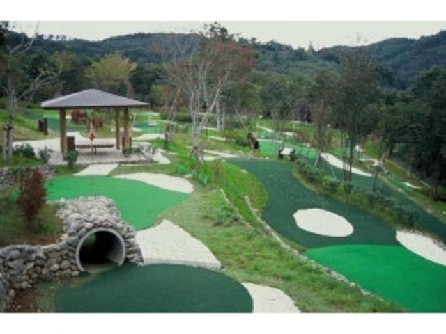 �p�^�[�S���t_�p�[�N�A���J�f�B�A