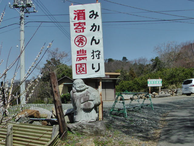 ����ό��݂���g��