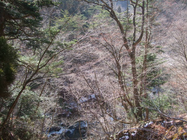 八方ヶ原