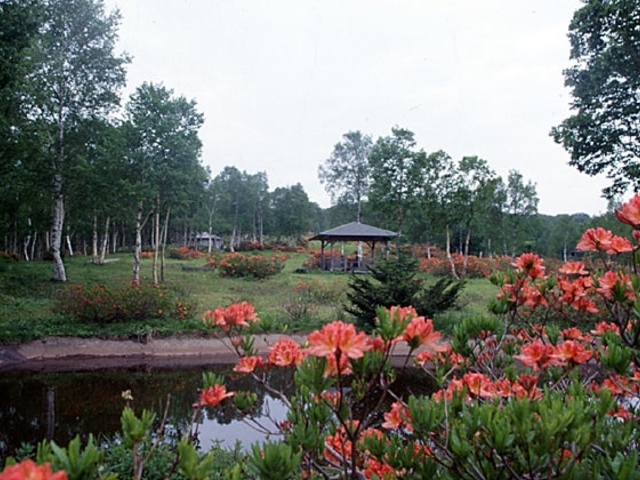 �����q��̃����Q�c�c�W�Q���̎ʐ^1