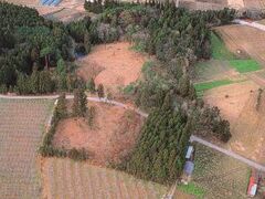 ��d�Õ��Q�̎ʐ^1