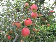 �������W���[�_���̎ʐ^2