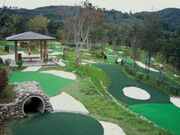 �p�[�N�A���J�f�B�A�̎ʐ^3