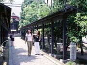 �a���̏��̎ʐ^1