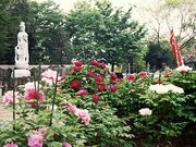 ���^���̃{�^���̎ʐ^1