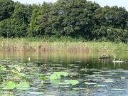 ���l���̎ʐ^2