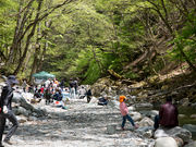 トラウトオン入川（入川渓流観光釣場）の写真1