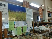 ���쒬�_�Y�������Z���^�[�i���̉w�j�̎ʐ^2