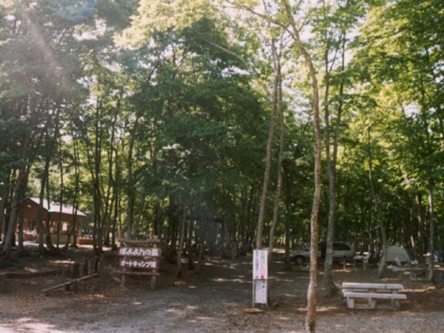 �ۂ���̐X�I�[�g�L�����v��̎ʐ^1