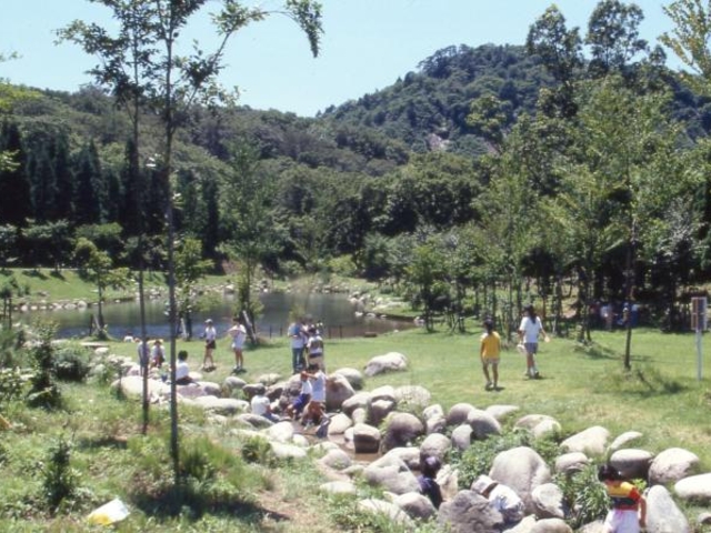 ���N�̐X����