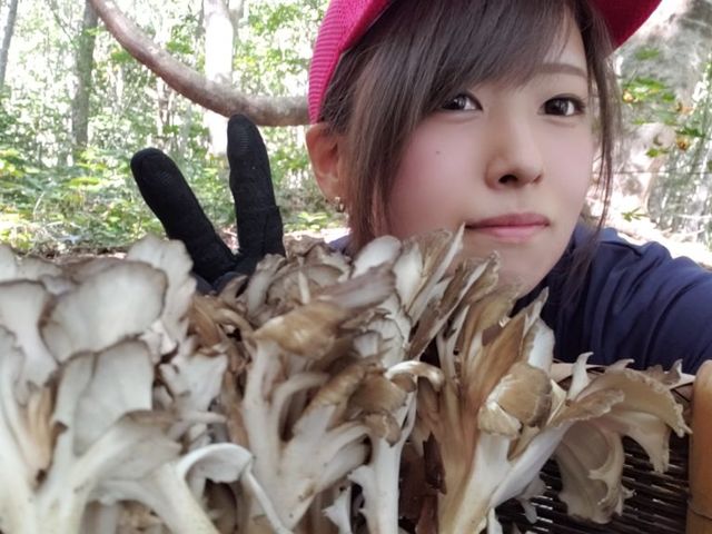 ���Z�X�^�b�t�i�K�C�h�E����u�t�S���j_�X�т̕��Z�ӂ���