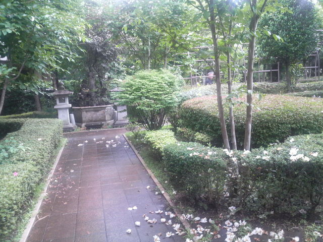 ���C���E�n�r�[���i���v�V���g�[ �X�[�x�j�A�V���b�v�j