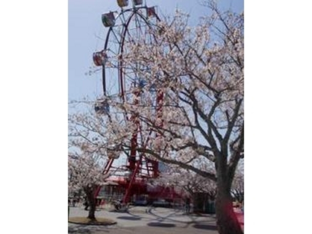 ときわ公園/サクラ】アクセス・営業時間・料金情報 - じゃらんnet ときわ公園/サクラ】アクセス・営業時間・料金情報 - じゃらんnet