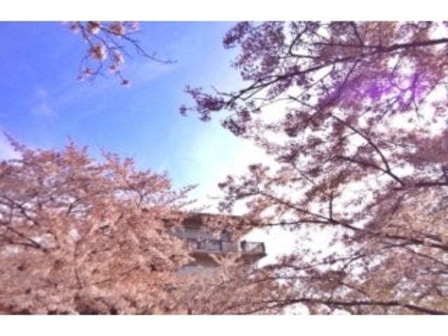 �}�R�^������̎ʐ^1