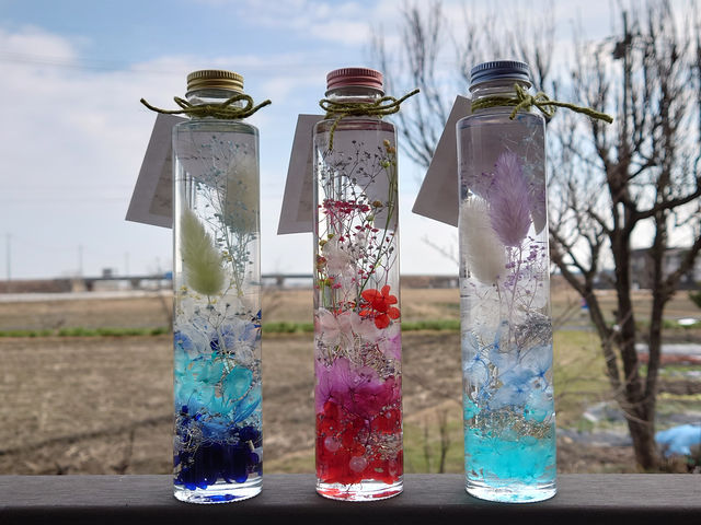 �n�[�o���E���̌�����_�X�C���L�����h���H�[