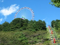 ݌΃][g vW[tHXg̎ʐ^1