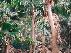 �����̃r���E�����n�̎ʐ^1