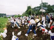 ���܂����@��i����͂����j�̎ʐ^1