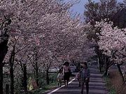 �䌴��̍��̎ʐ^1