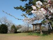 �}�R�^������̎ʐ^2