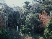 �Êق̃r���E�����n�̎ʐ^1