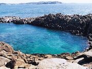 DB(Ɛ㗤njƉΑ^̎ʐ^1