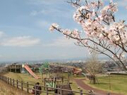 ��Č����̍��̎ʐ^2