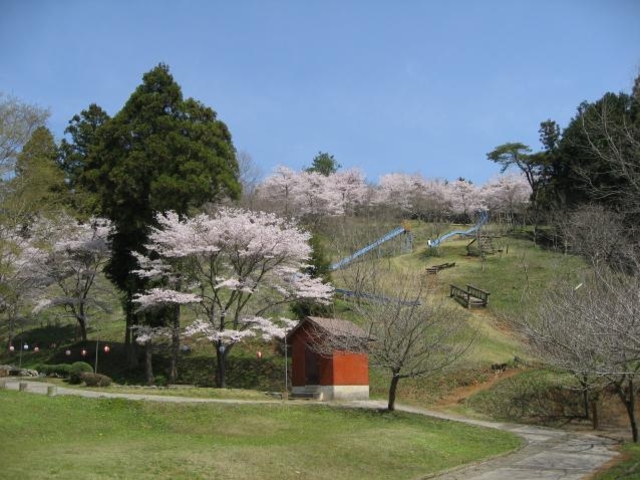 �O���[���j���������̗��̎ʐ^1