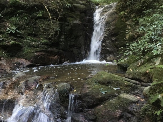 �����̑�