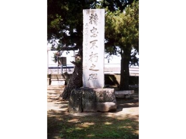 �l���̖��̎ʐ^1