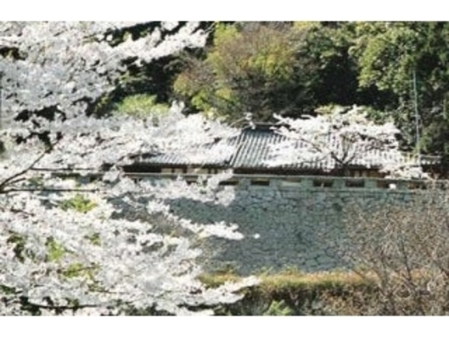 �ѐΊω��^������̎ʐ^1