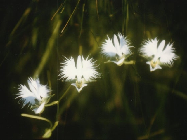 ��쎼���A���Q��_��쎼���A���Q��