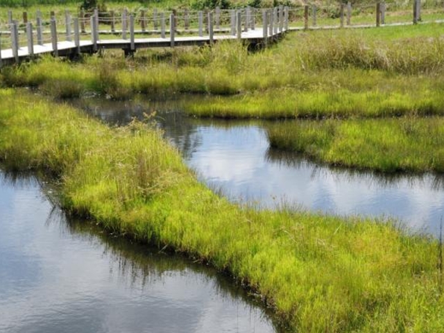 ��쎼���A���Q���Q_��쎼���A���Q��