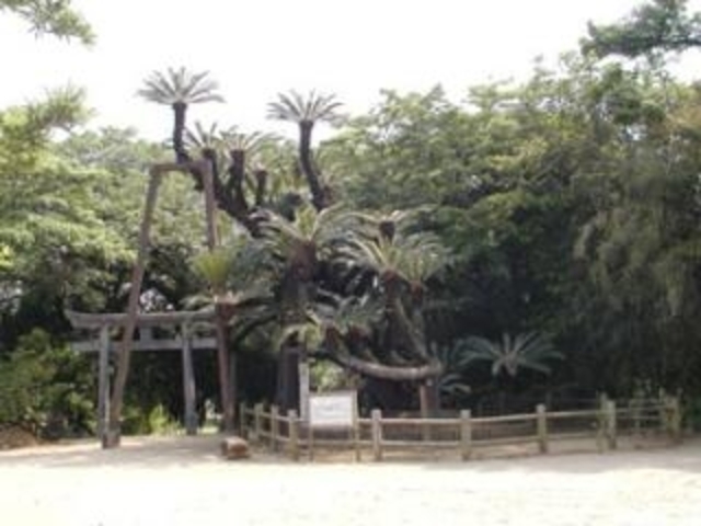 �L��_�Б�\�e�c