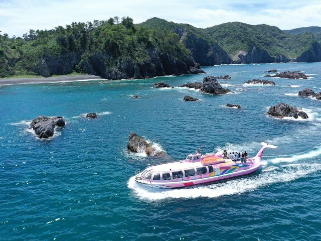 おちゃめなイルカ・クジラ船で青海島迫力ある海景を船上から望みます_青海島クルーズ