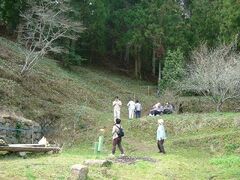 �F����������̎ʐ^1