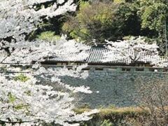 �ѐΊω��^������̎ʐ^1