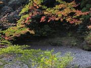 ������k�J�̎ʐ^1