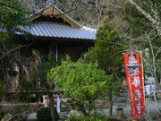 �������̎ʐ^2