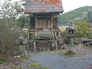 �������̎ʐ^3