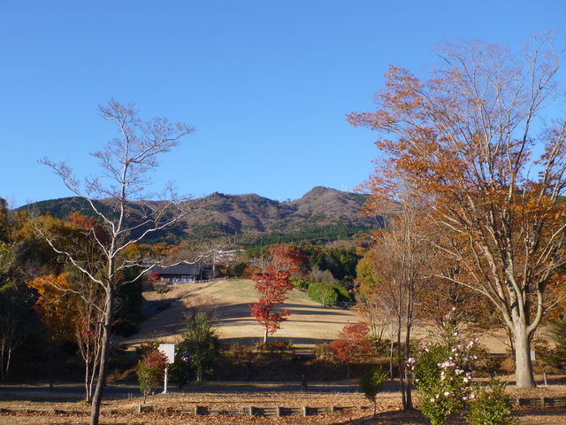 石岡市つくばねオートキャンプ場