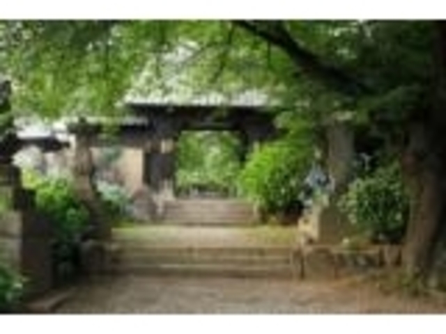 �^���������E�^���̎ʐ^1