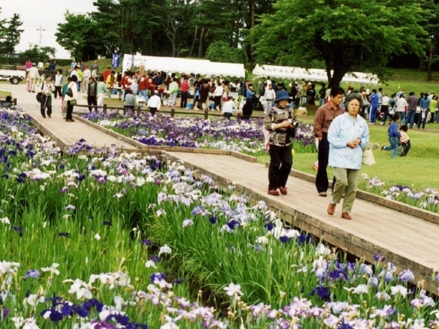 �����R�����A�������̎ʐ^1