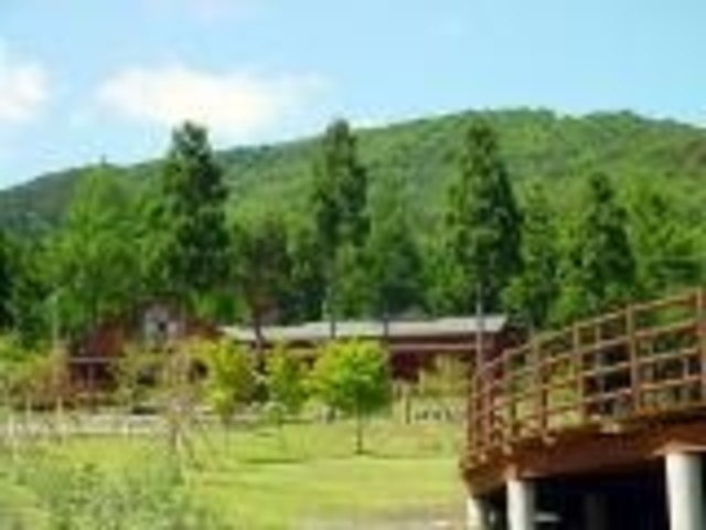 �΂Ƃ̂ӂꂠ���̐X�����̎ʐ^1