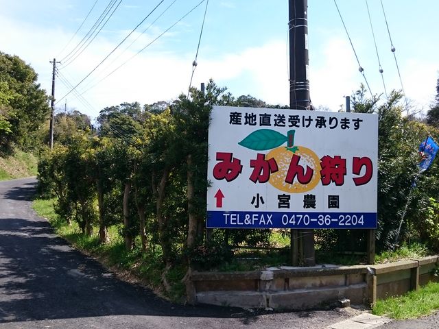 �O�F���݂�����g��