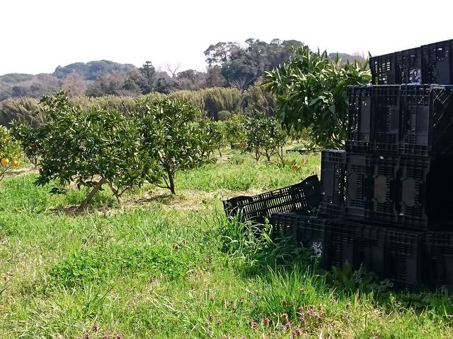 �O�F���݂�����g��