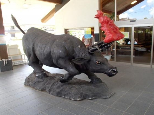 �䗘���������̋��|�����̎ʐ^1