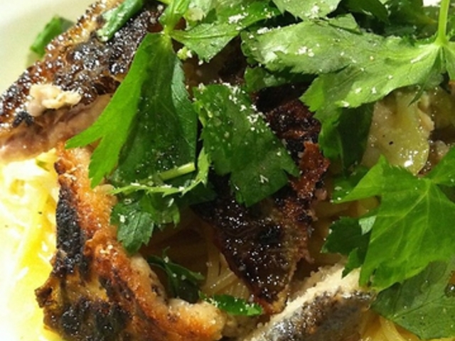 rXg 601 n`N}C`̎ʐ^1